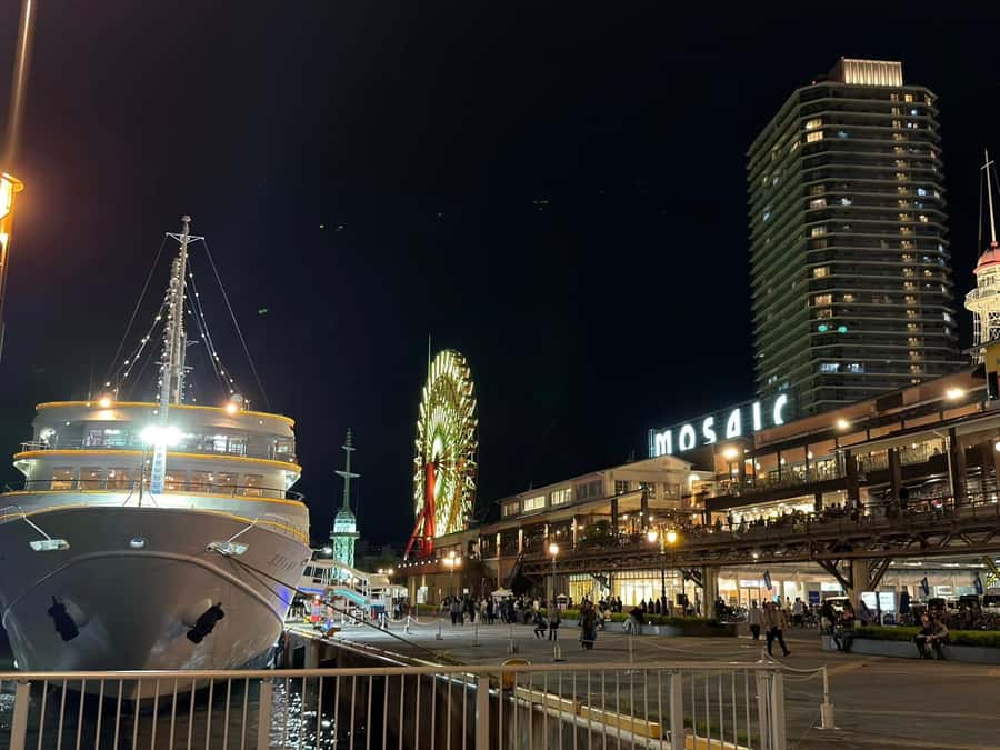 Kobe to Osaka: One night, two cities, endless adventure - Discovering Kobe and Osaka in a Single Evening