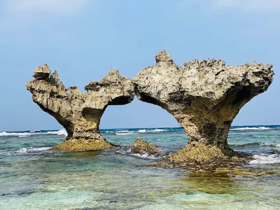 Okinawa: Private Kouri Island, Aquarium & Castle Guided Tour - Who Is This Tour Best For?