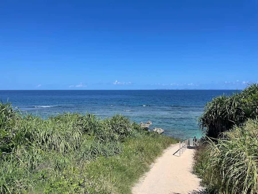 Okinawa: Private Kouri Island, Aquarium & Castle Guided Tour - FAQ