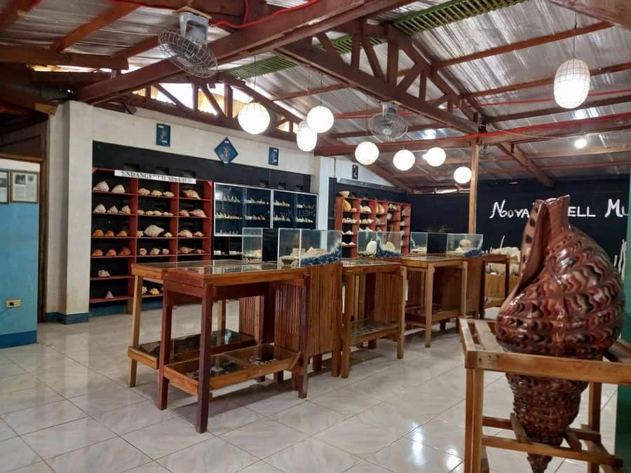 Panglao Land Tour: Private Half-Day Tour with Hotel Pickup - Good To Know