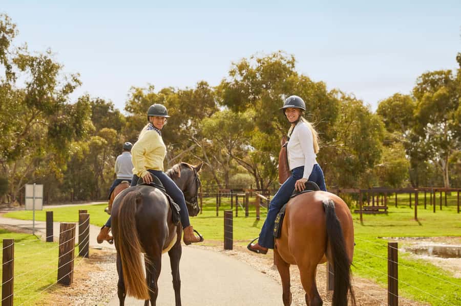 Jacobs Creek Vineyard Horse Ride and Tasting - The Value of This Experience