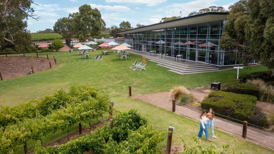 Jacobs Creek Vineyard Horse Ride and Tasting - The Sum Up