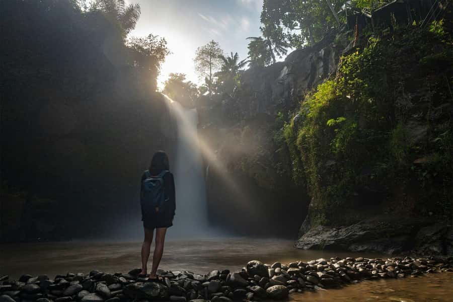 Bali Discovery: Waterfalls, Butterfly Park & Village Life - Practical Tips for Your Day