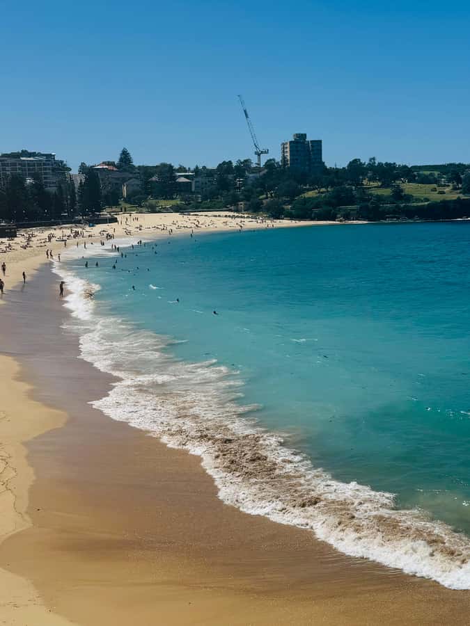 Sydney: Bondi Sunrise Yoga and Coastal Walking Tour - Detailed Breakdown of the Itinerary