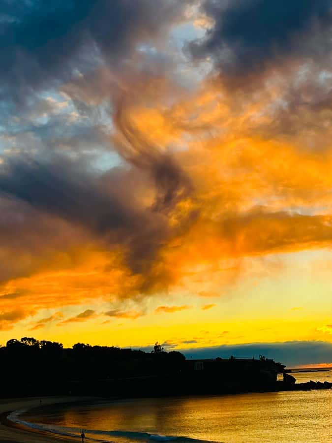 Sydney: Bondi Sunrise Yoga and Coastal Walking Tour - Who Will Love This Tour?