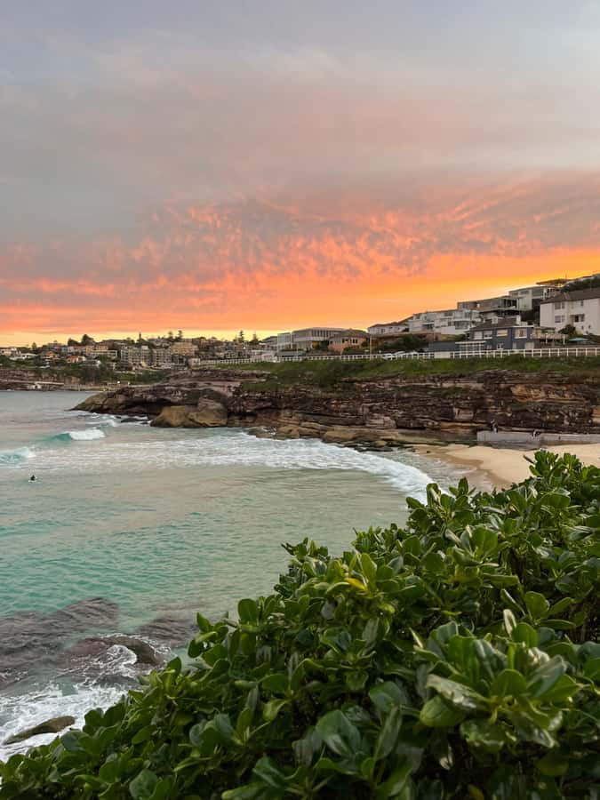 Sydney: Bondi Sunrise Yoga and Coastal Walking Tour - Who Would Love This Experience