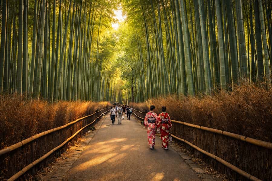 Private kyoto Tour with English speaking guide and vehicle - Exploring Kyoto in Style: A Complete Review of the Private Guided Tour with English Speaking Guide and Vehicle