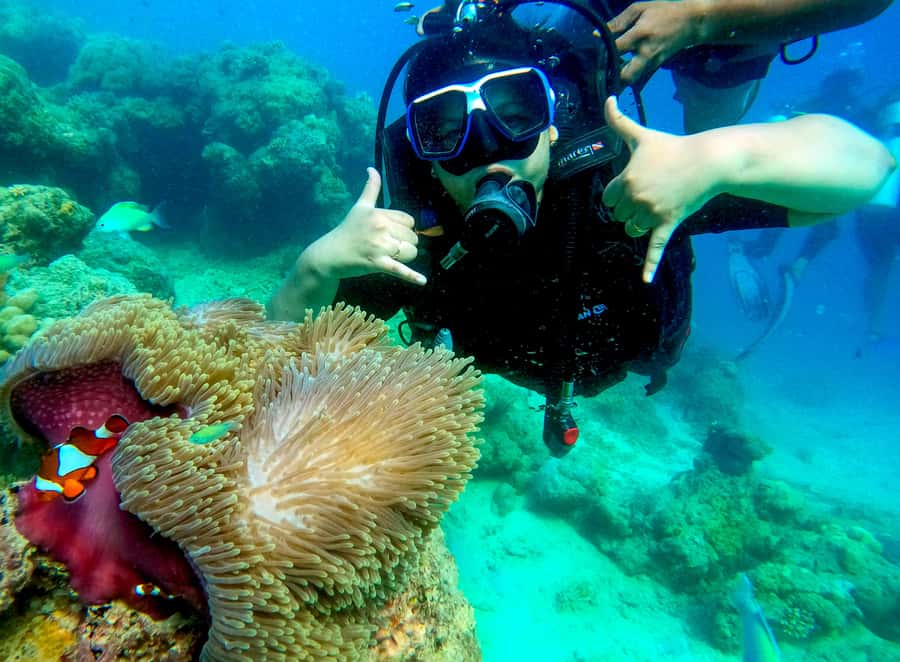 Havelock Island: Tribe Gate Boat Dive with Instructor - The Practicalities of the Tour