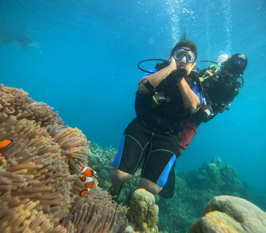 Havelock Island: Tribe Gate Boat Dive with Instructor - FAQ about the Tribe Gate Boat Dive on Havelock Island