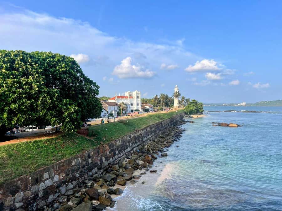 Galle Private Day Tour - River Safari, Turtle Hatchery - Who Will Enjoy This Tour?