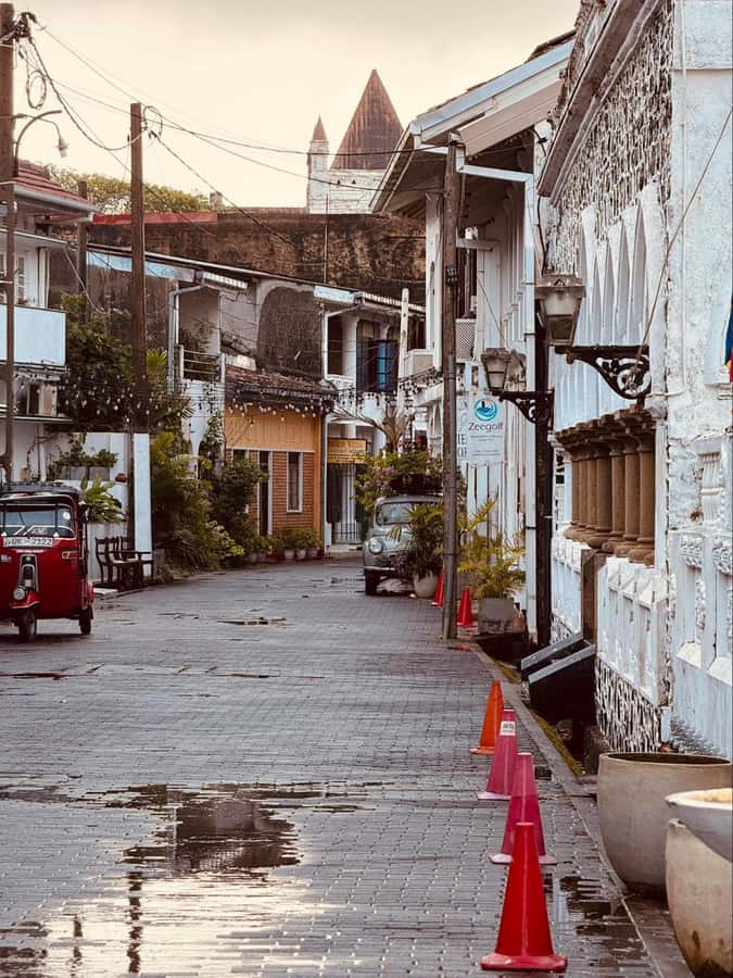 Galle Private Day Tour - River Safari, Turtle Hatchery - Practical Aspects and Value