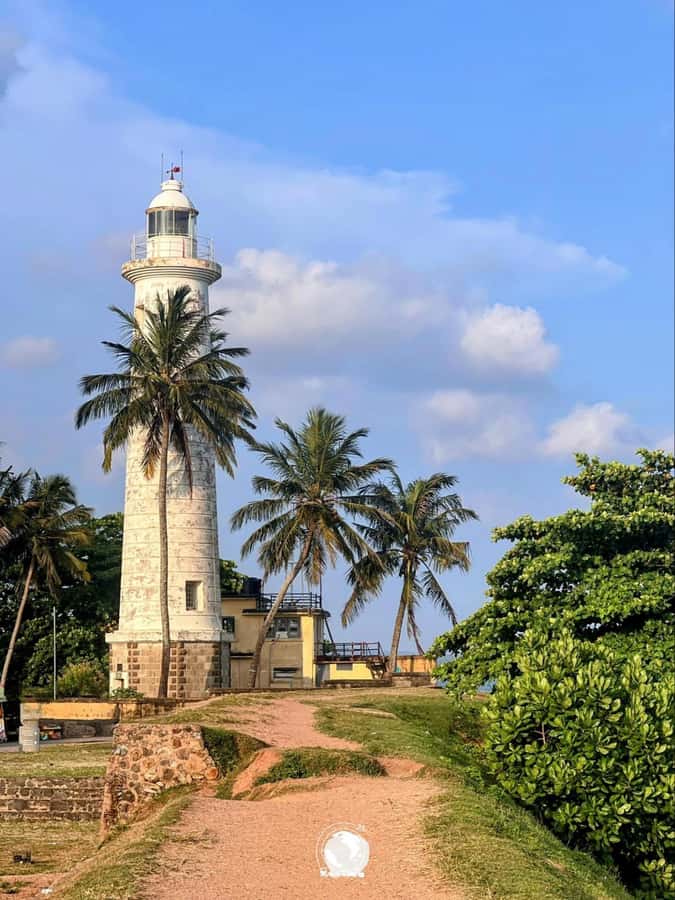 Galle Private Day Tour - River Safari, Turtle Hatchery - An In-Depth Look at the Galle Private Day Tour
