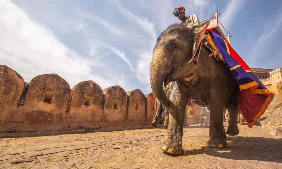 From Delhi: All-Inclusive Same-Day Jaipur Tour By Car Tour - Final Thoughts  