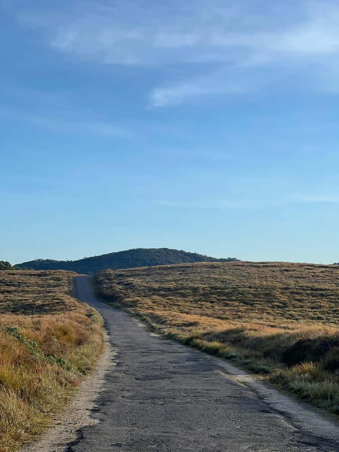 Horton Plains National Park Entry eTicket - What to Bring