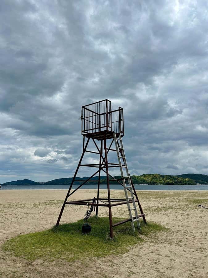 Amanohashidate: Guided Coastal Cycling Tour with Lunch - Final Thoughts