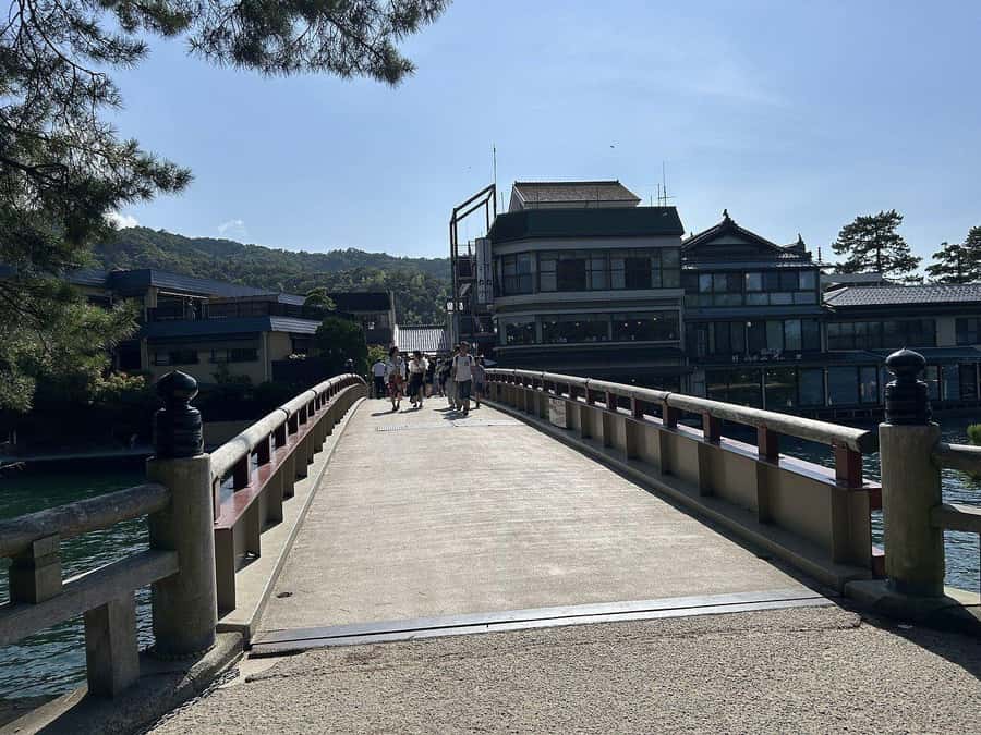 Amanohashidate: Guided Coastal Cycling Tour with Lunch - Discovering the Coastal Charm of Miyazu Bay