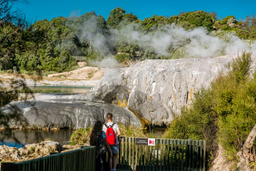 Auckland: Te Puia & Wai Ariki Hot Springs Tour - The Sum Up