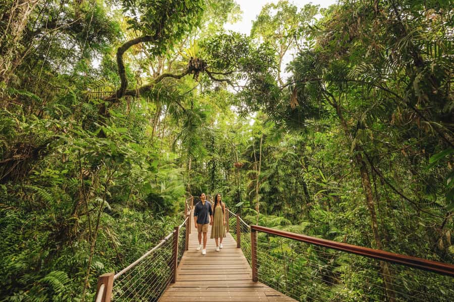 Brisbane to Daintree Whitsundays & Reef 9 Day Comfort Tour - Transportation, Accommodation & Value