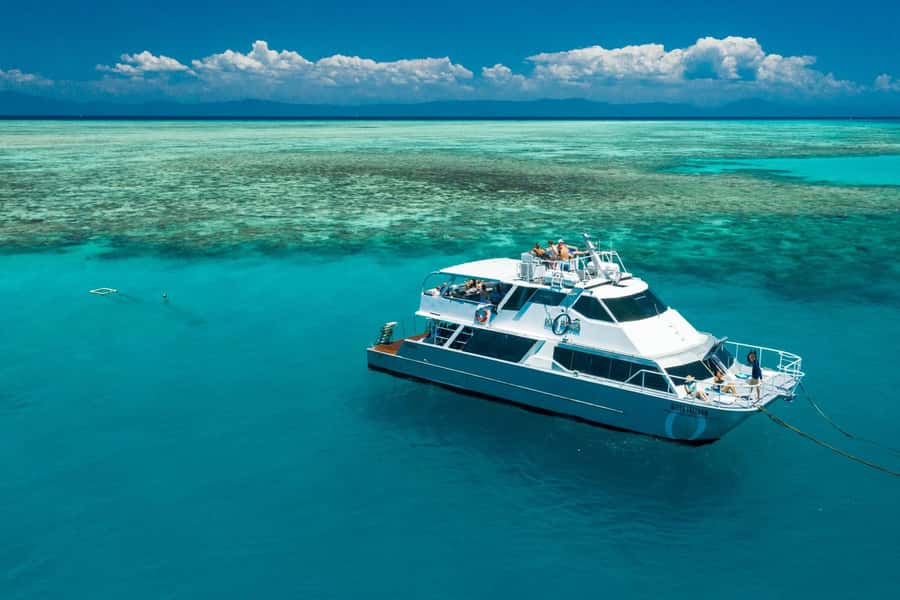 Brisbane to Daintree Whitsundays & Reef 9 Day Comfort Tour - Who Will Enjoy This Tour?
