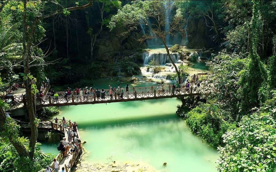 Luang Prabang: Cruise to Pak Ou Caves and Kuang si fall - Frequently Asked Questions