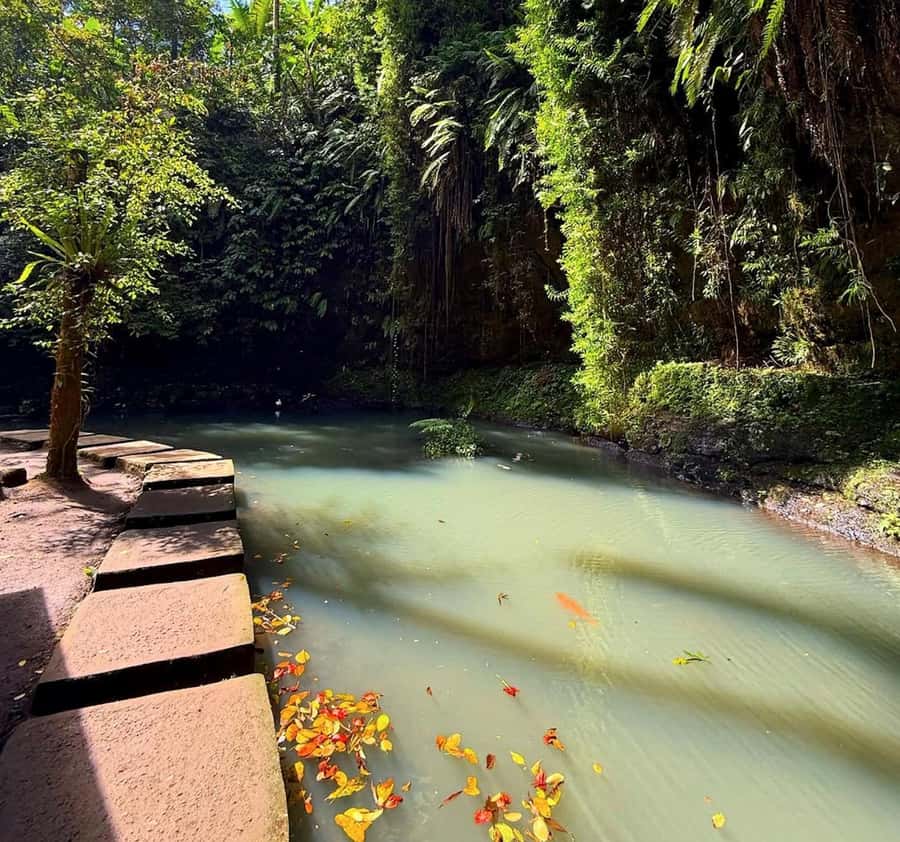 Half-Day Ubud Tour: Pakudui Terraces, Waterfall+Water Temple - FAQ