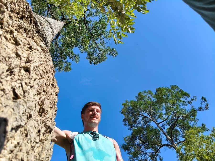 Chiang Mai: 3-Day Elephant Care, Jungle Trek, Bamboo Rafting - Who Should Consider This Tour?