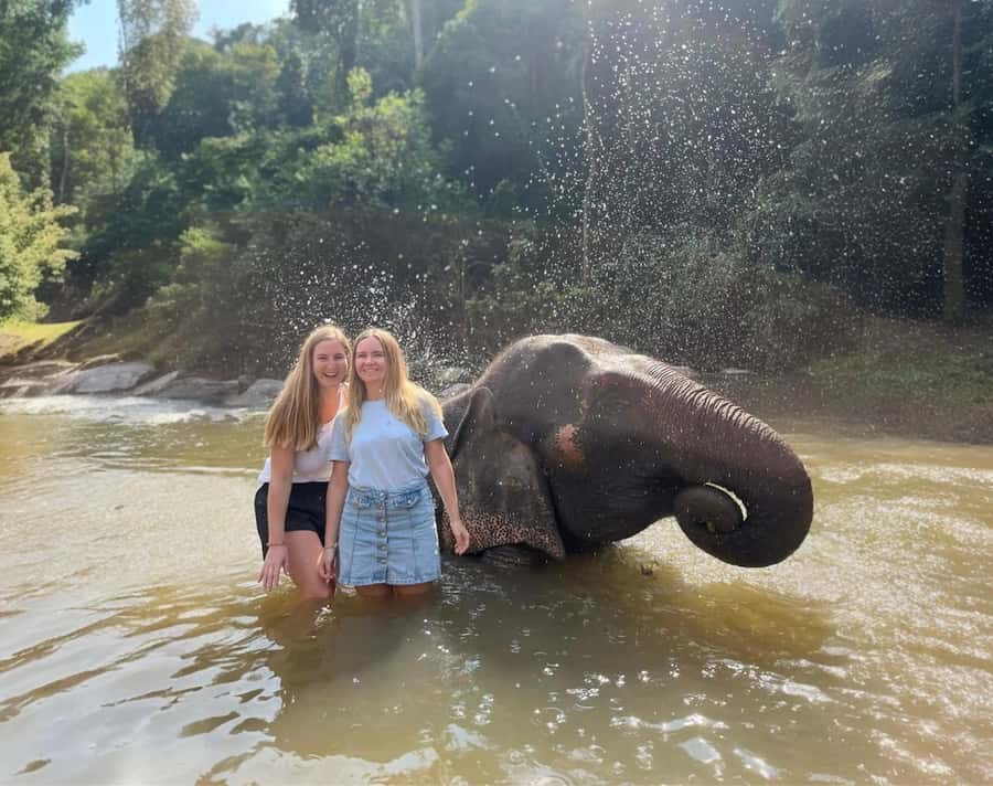 Chiang Mai: 3-Day Elephant Care, Jungle Trek, Bamboo Rafting - An In-Depth Look at the 3-Day Adventure in Chiang Mai