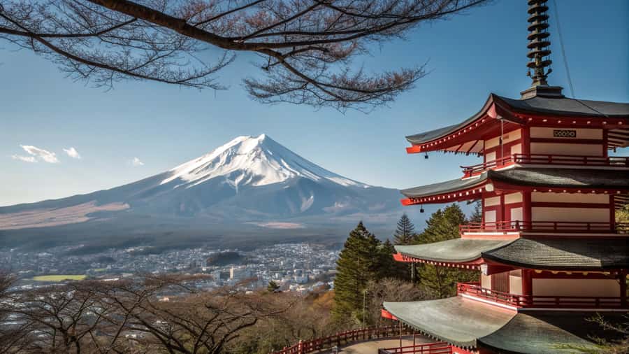 Mount Fuji Full Day Private Tour from Tokyo (Customizable) - Authentic Experiences & Insight from Reviews