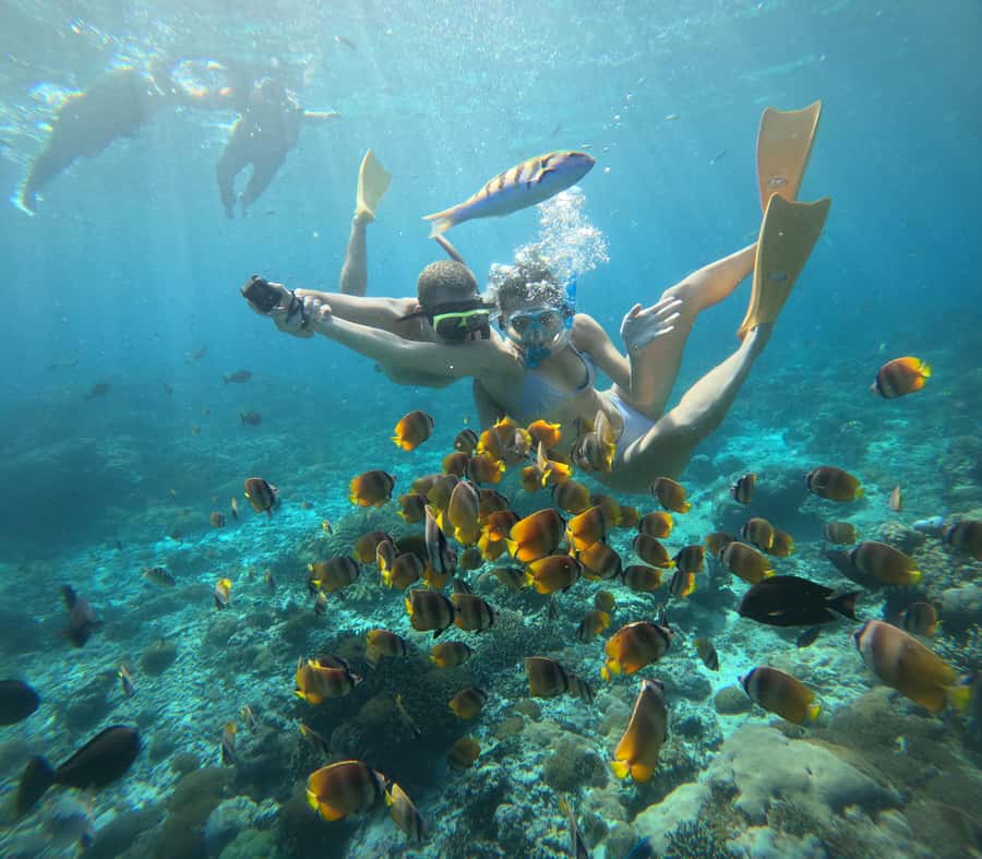 Nusa Lembongan Snorkeling Tour with Traditional Boat - The Review from Travelers: Highlights and Insights