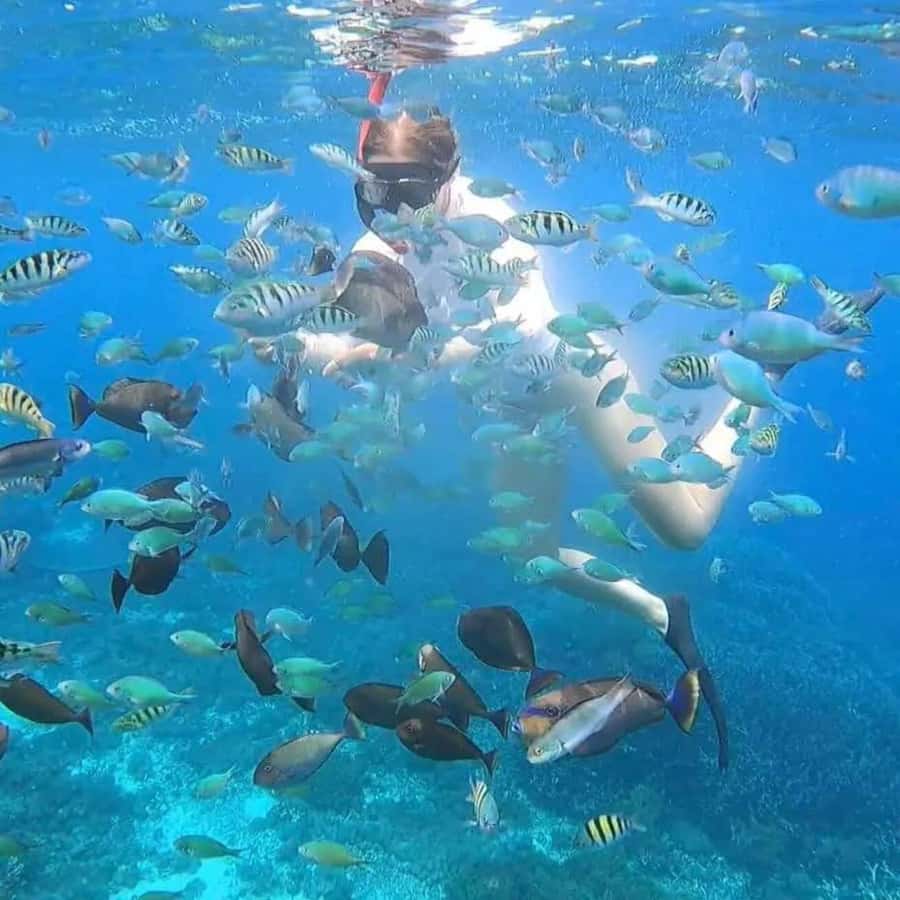 Nusa Lembongan Snorkeling Tour with Traditional Boat - FAQ