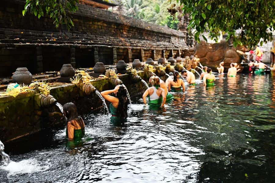 Bali: Waterfall, Tirta Empul & Traditional Village Day Trip - Transportation, Guide Quality, and Overall Experience