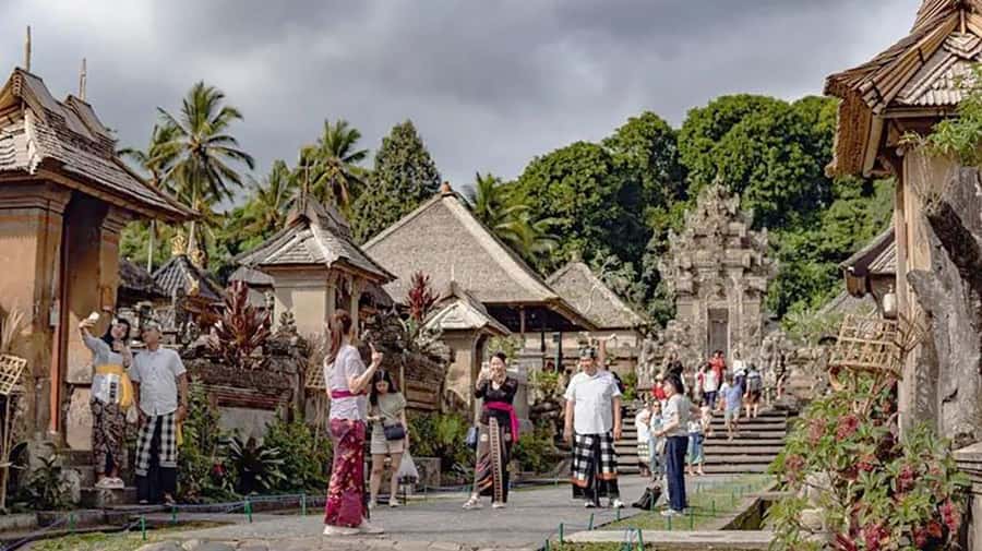 Bali: Waterfall, Tirta Empul & Traditional Village Day Trip - Who Will Love This Tour?