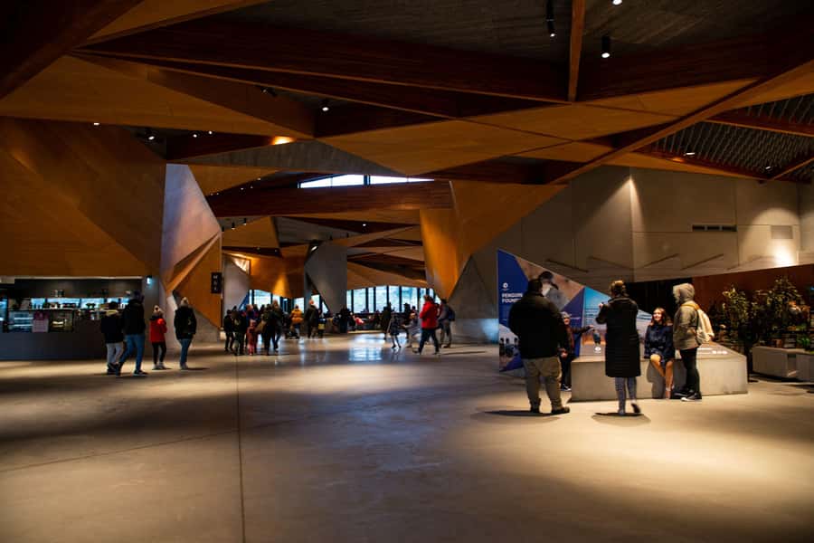 Luxury Phillip Island Tour for Families & Explorers 10 Max - Key Points