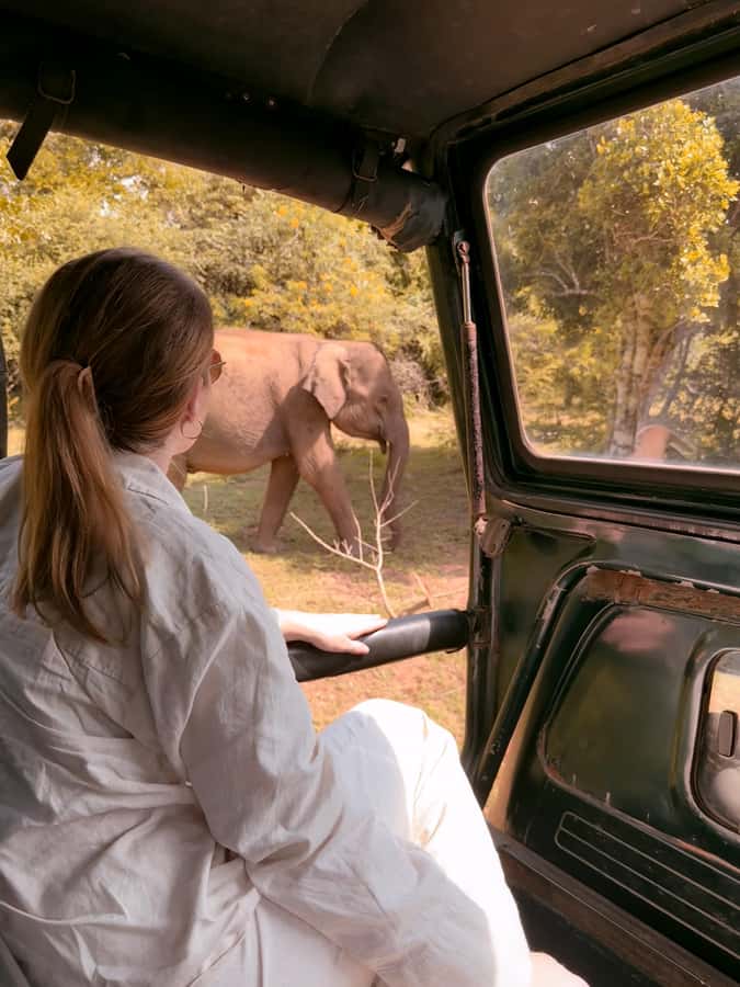 Yala National Park : Safari and Village Tour-Morning/evening - Key Points