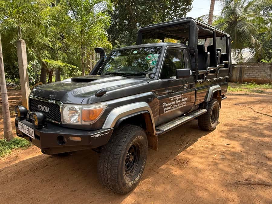 Yala National Park : Safari and Village Tour-Morning/evening - Final Thoughts