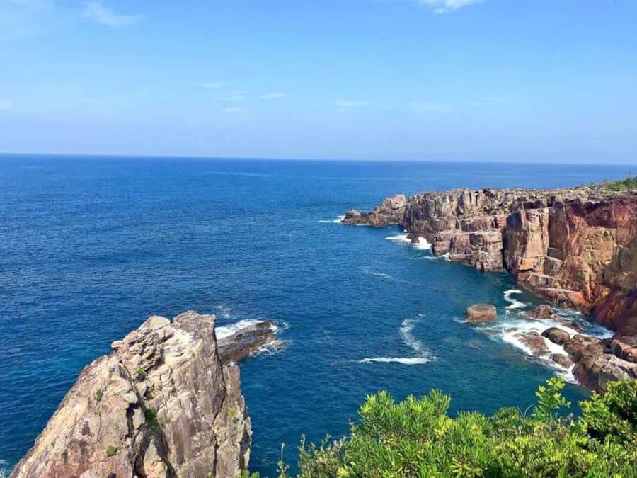 Wakayama: Private Hidden Trails & Nachi Falls Day Tour - Exploring Wakayama’s Sacred Landscape