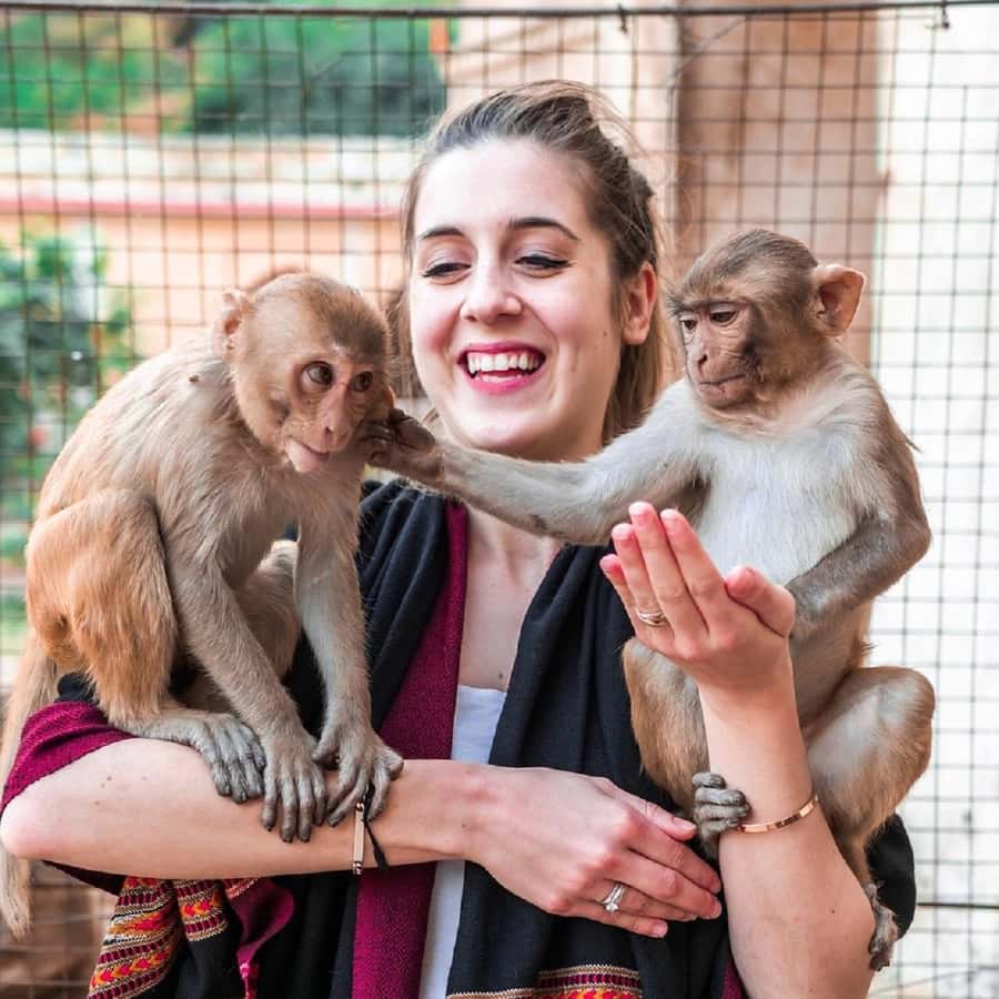 Jaipur: Private Top Attractions Tour by AC Car with Guide - What to Expect on the Day