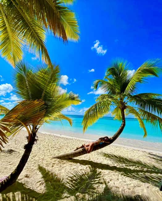 Punta Cana: Saona Island Exclusive Private Beach, Open Bar & Premium Lunch - Who Should Consider This Tour?