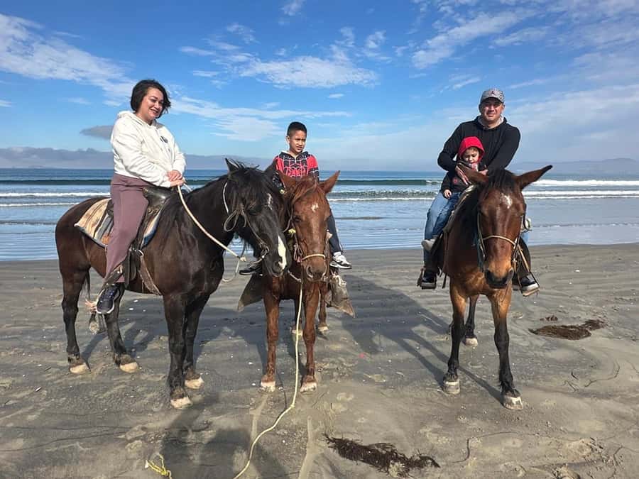 Beach Horseback Riding from the Port of Ensenada - The Experience: What Travelers Have Said