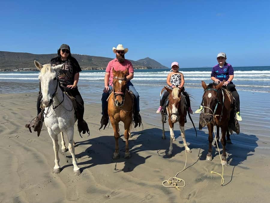Beach Horseback Riding from the Port of Ensenada - Final Thoughts