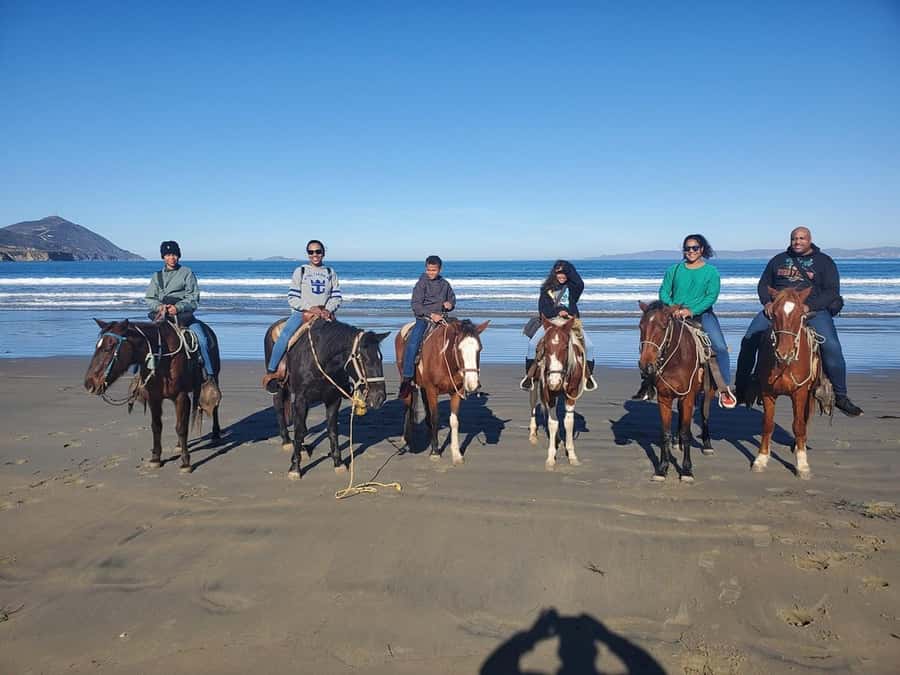 Beach Horseback Riding from the Port of Ensenada - Key Points