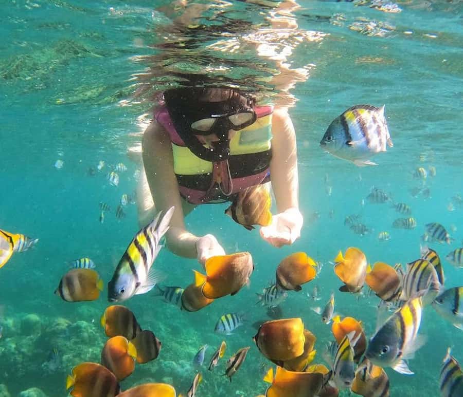 Amed: Snorkeling Trip by Traditional Jukung Boat - Who Will Love This Tour?