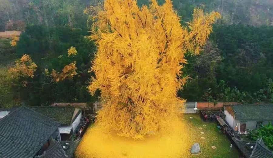 Xi'an Hidden Gems One-Day Private Tour - Good To Know