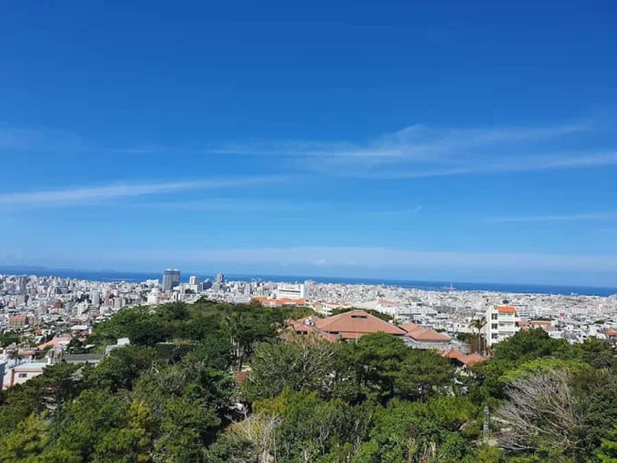 Okinawa: Shurijo Castle & Gyokusendo Cave Guided Tour - Who Is This Tour Best For?