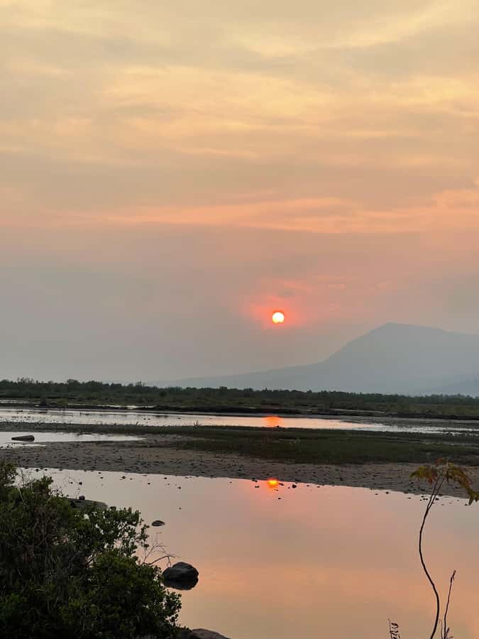 Kampot: Lotus Pond, Wat Traeuy Kaoh, and Coconut Beach Tour - A Detailed Look at the Kampot: Lotus Pond, Wat Traeuy Kaoh, and Coconut Beach Tour