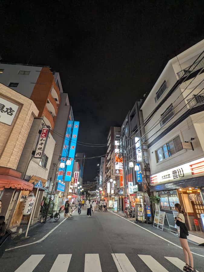 Tokyo: Otsuka Nightlife Tour with Izakayas, Bars and Snacks - What the Tour Entails