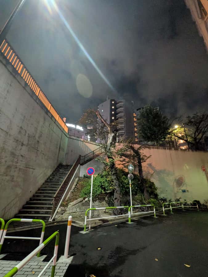 Tokyo: Otsuka Nightlife Tour with Izakayas, Bars and Snacks - Why This Tour is a Great Choice