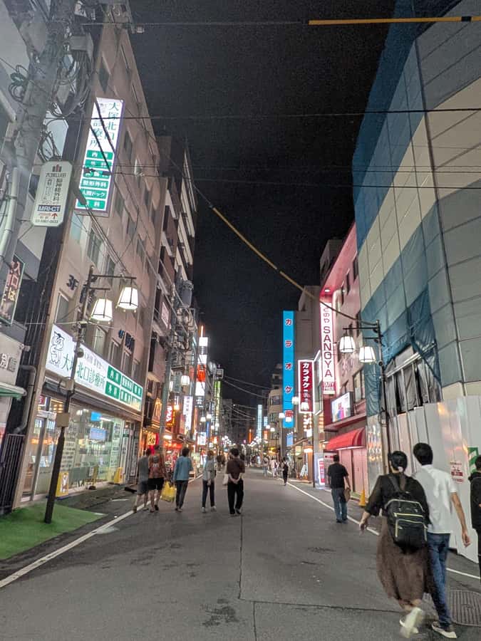 Tokyo: Otsuka Nightlife Tour with Izakayas, Bars and Snacks - The Hidden Gems of Otsuka