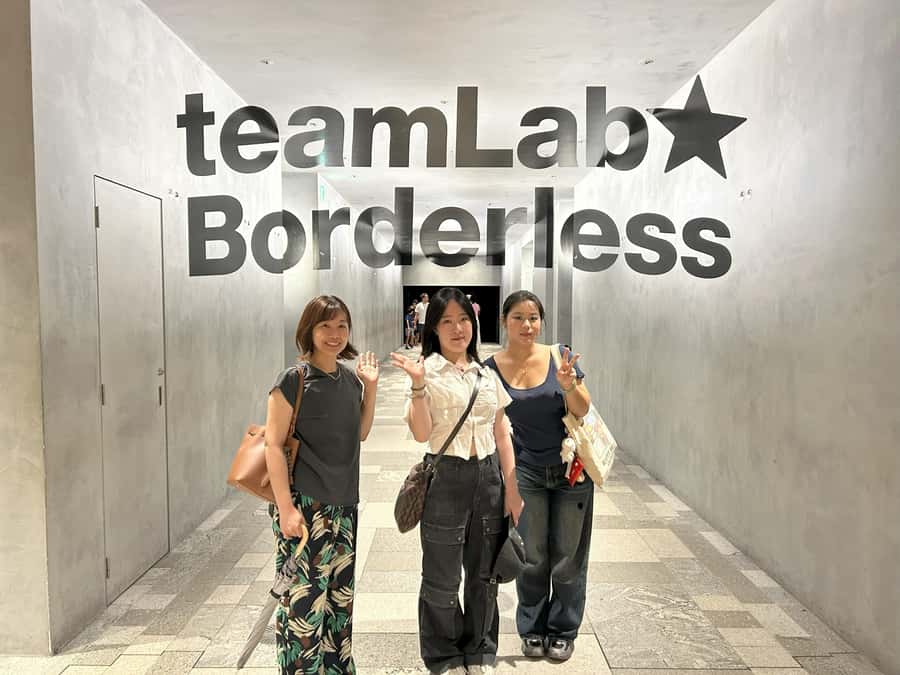Tokyo: TeamLab Borderless & Roppongi Art Architecture Tour - Practical Details & Why They Matter