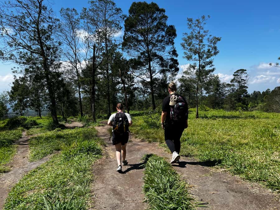 Yogyakarta: Mount Merapi National Park Trek with Pickup - An In-Depth Look at the Mount Merapi Trek Experience